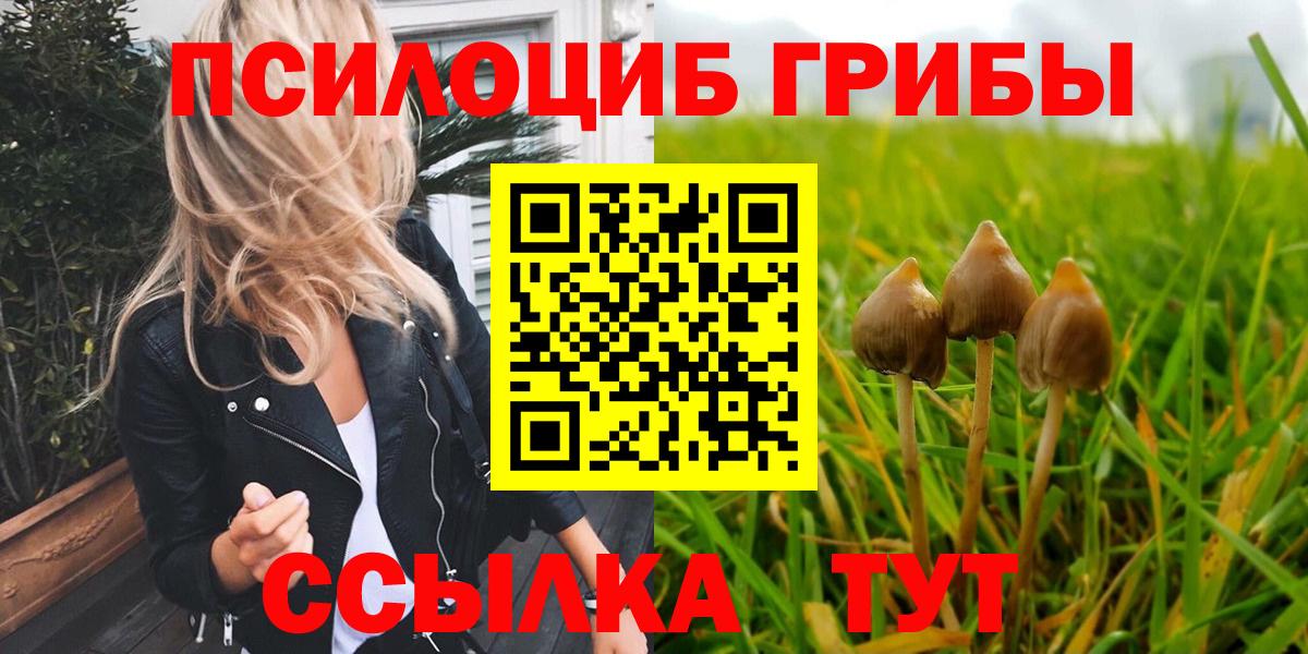 Волгоград  Псилоцибиновые грибы GOLDEN TEACHER  Вход с VPN 